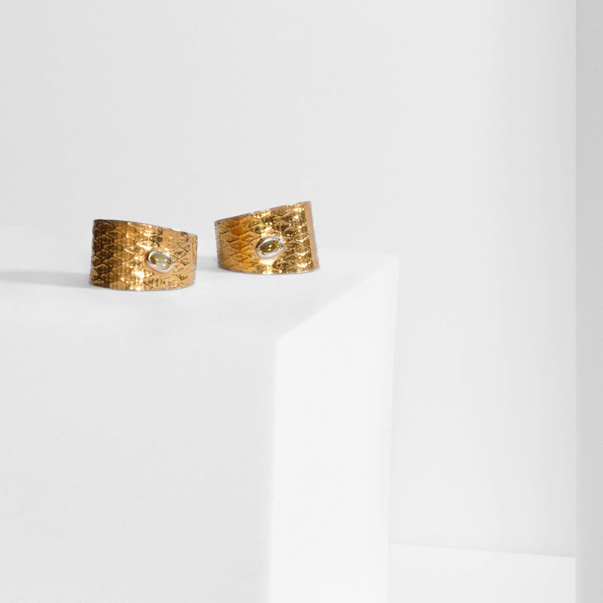 REPTILIA EARRINGS · VERMEIL AND NATURAL STONES