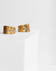 REPTILIA EARRINGS · VERMEIL AND NATURAL STONES
